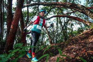 BIB: 
                            <button type="button" onclick="openModal(26345599)" class="btn btn-primary btn-sm float-right btn-popup" data-toggle="modal" data-target=".modal-high-quality">
                        <i class="fas fa-shopping-cart"></i> Add to Cart
                    </button>
                                            <button type="button" onclick="isThisMe(26345599, true)" class="btn btn-success btn-sm float-right btn-popup btn-isme hidden" data-toggle="tooltip" data-placement="bottom" title="นี่คือรูปของคุณใช่ไหม คลิกที่นี่เพื่อเอาเข้าอัลบั้ม">
                        <i class="fas fa-plus"></i> Add to album
                    </button>
                    <button type="button" onclick="isThisMe(26345599, false)" class="btn btn-warning btn-sm float-right btn-popup btn-isnotme hidden">
                        <i class="fas fa-ban"></i> Remove from album
                    </button>